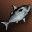Black Nimble Fish